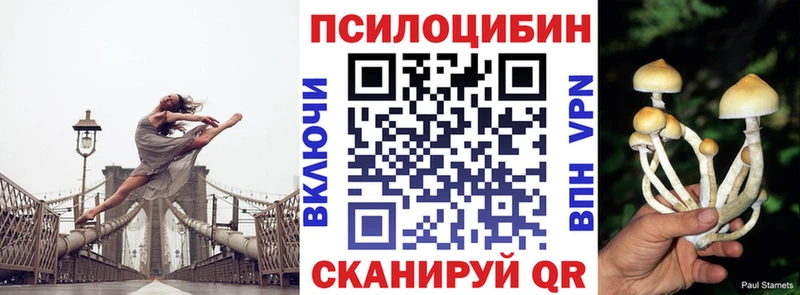 Псилоцибиновые грибы Magic Shrooms  Конаково 