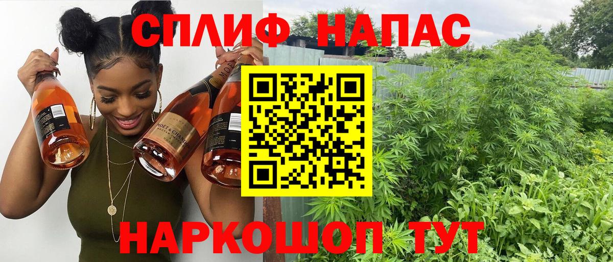 Каннабис планчик  Шишки марихуана гибрид  Конопля Ganja  Конаково  Вход с VPN  Конопля SATIVA & INDICA 